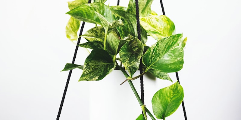 世界杯关键球员数据分析图表